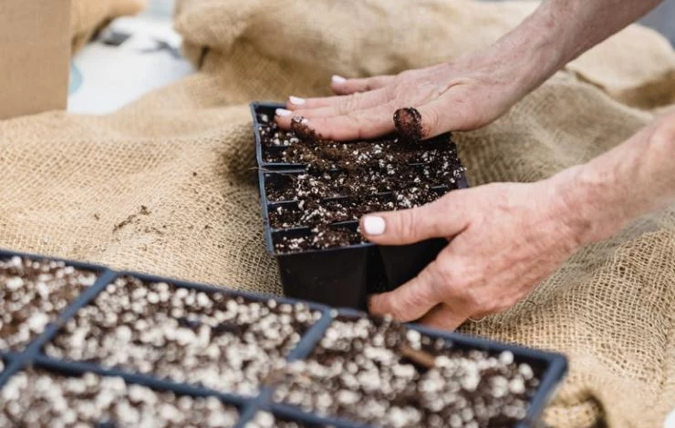 что подарить садоводу на новый год