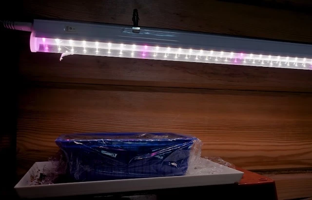 Фитолампа для рассады