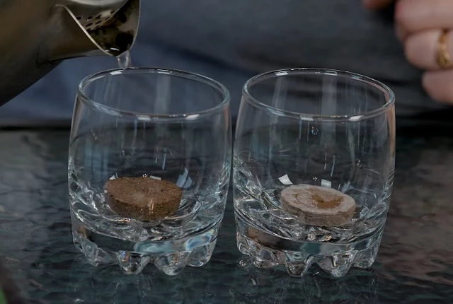 Как выбрать торфяные таблетки