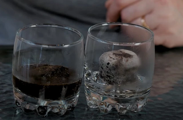 Сравнение разных торфяных таблеток