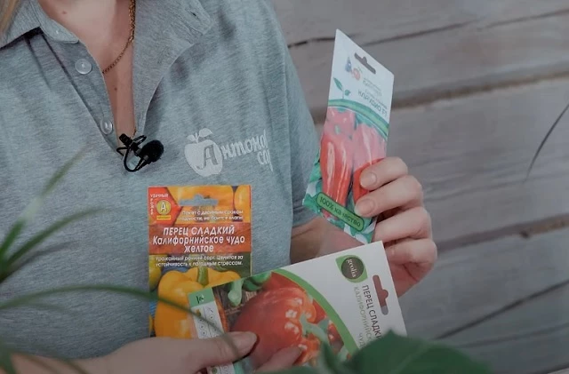 Как выбрать семена на рассаду