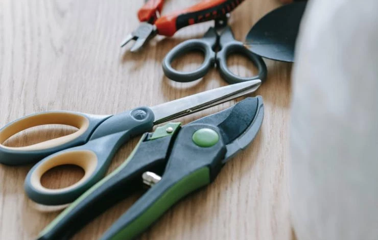 инструменты для обрезки черешни