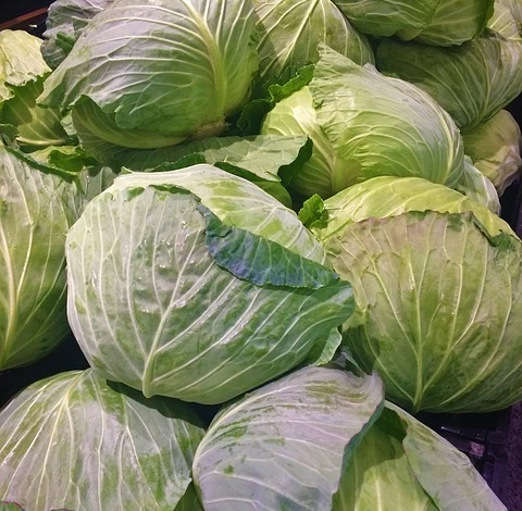 Поздние сорта капусты используют для хранения