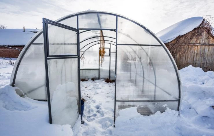 Теплица в марте