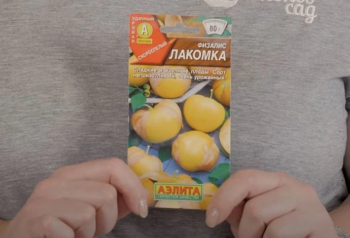 Сорта овощного физалиса