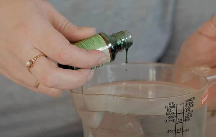 Обработка семян стимуляторами роста