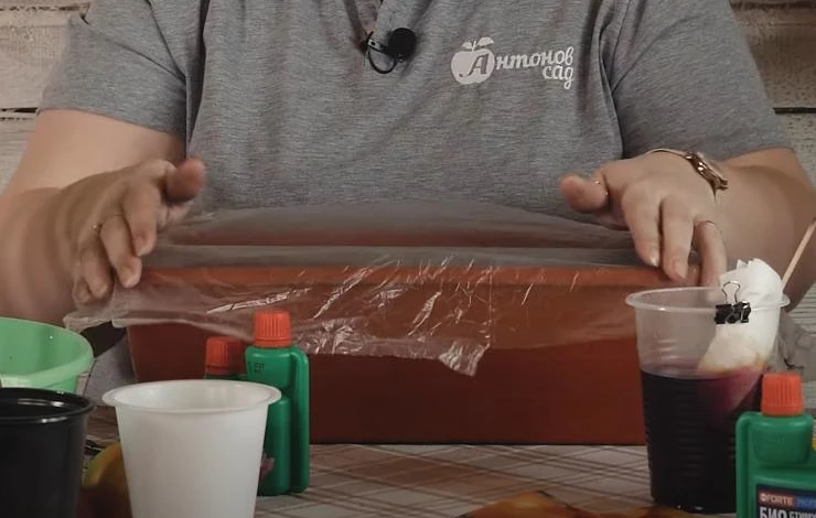 Посев лука на рассаду