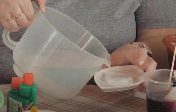 Стимулятор роста для семян лука