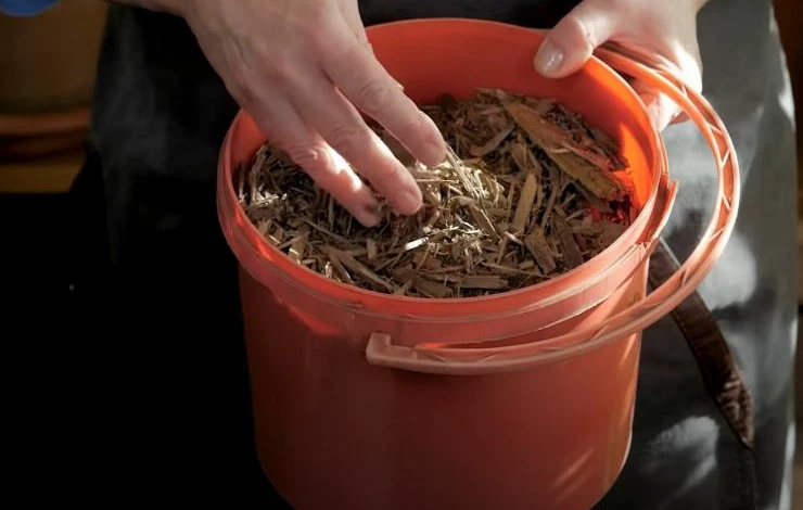 Мульчирование грядок моркови