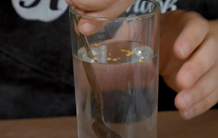 Способы посадки моркови в открытый грунт