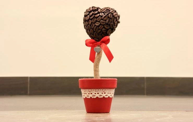 необычный комнатный топиарий