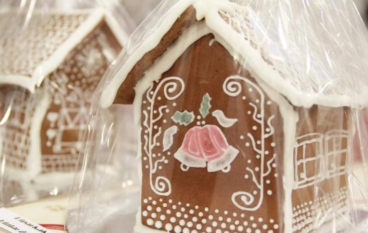 необычные идеи для домашних топиариев