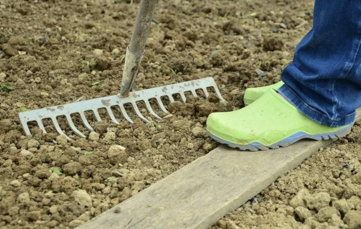 какая почва нужна для моркови