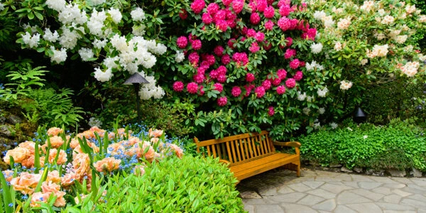 Место для скамейки