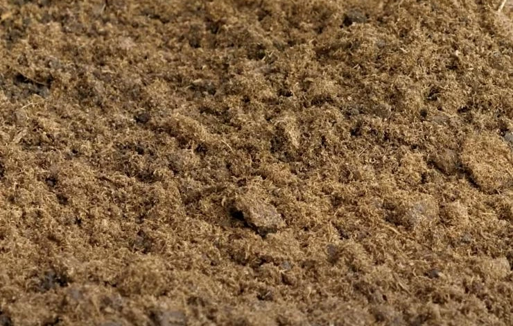 посадка алычи кубанская комета