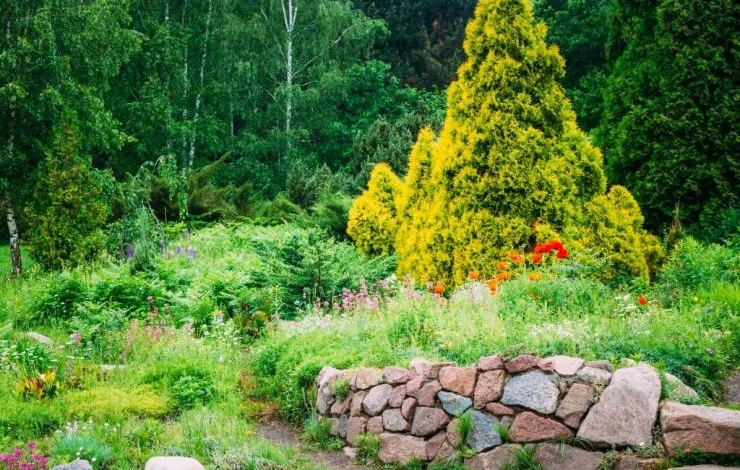 Экостиль или натургарден в дизайне сада