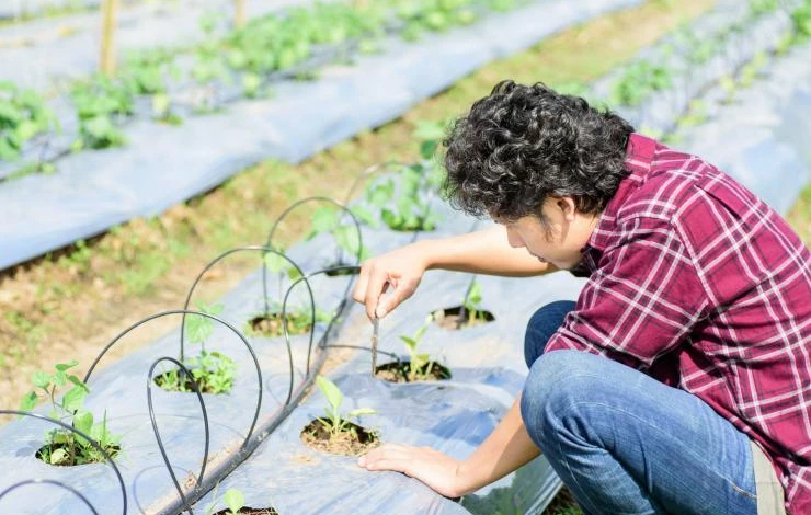 Капельная система для огорода из капельниц