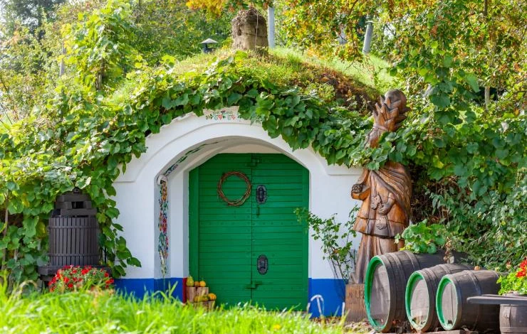 обустройство погреба