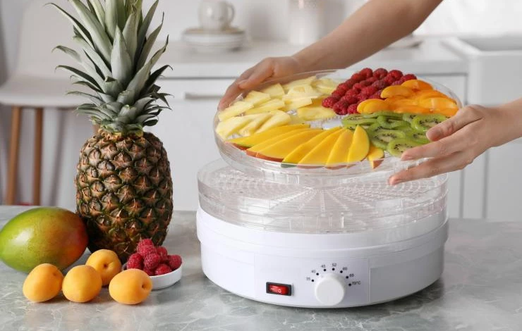 Виды дегидраторов для фруктов