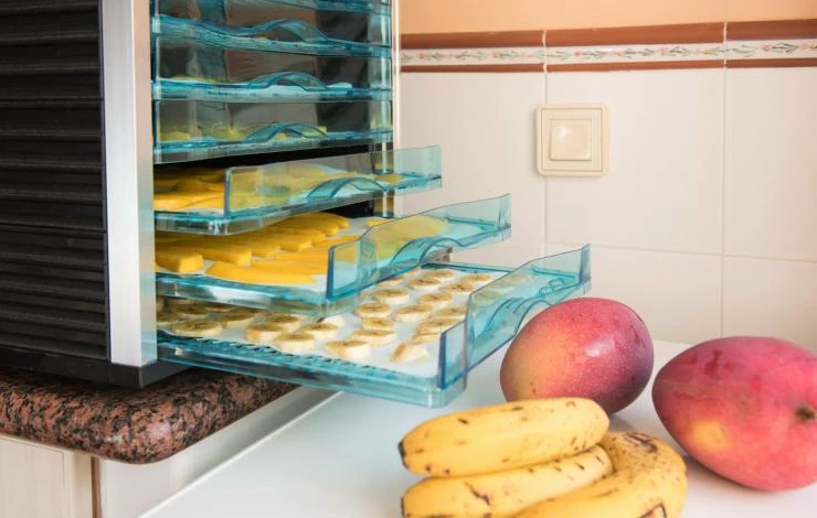 Камера для сушки фруктов из холодильника