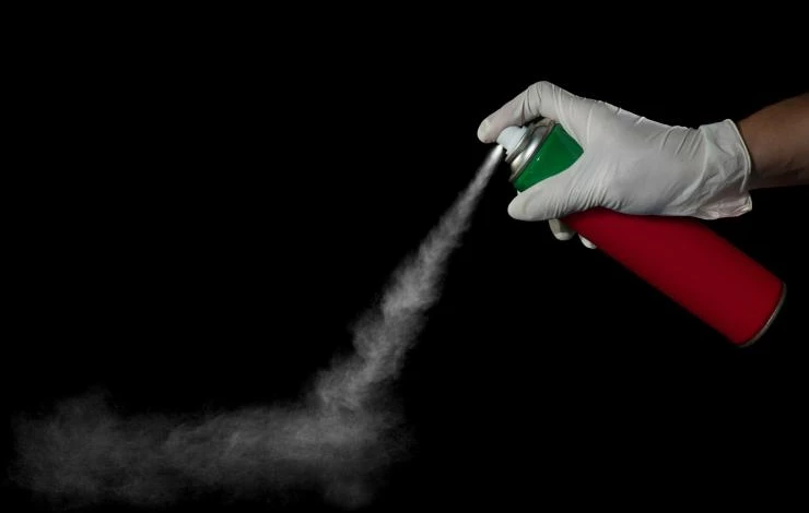 как избавиться от блох дома