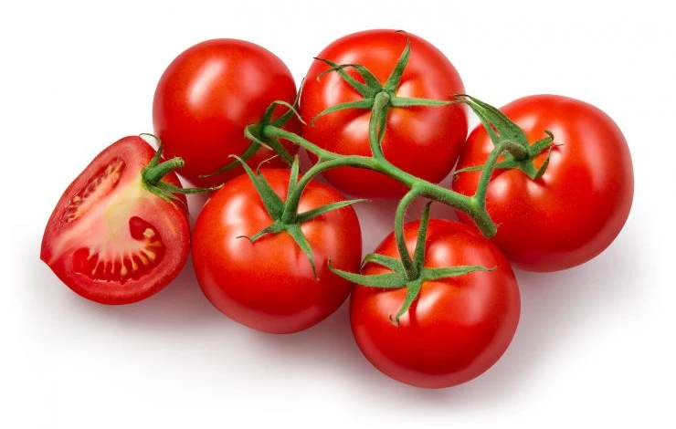 характеристика сорта Санька