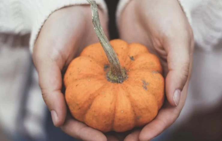 тыква карамелька