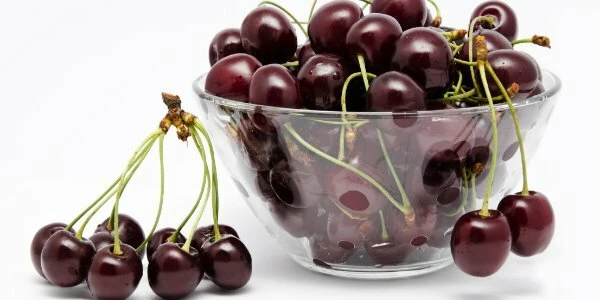 Вишня Шоколадница