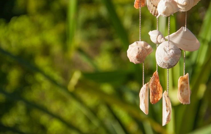 Что сделать из ракушек