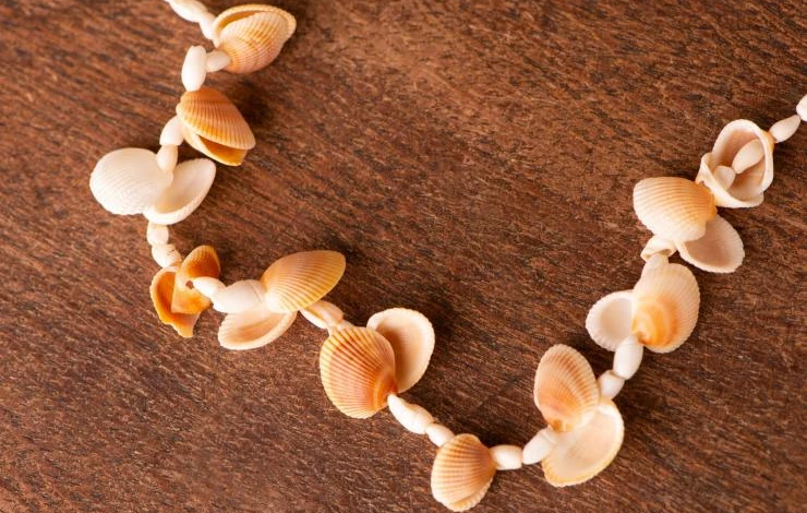украшения из ракушек