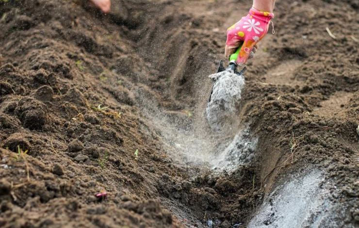 посадка картофеля