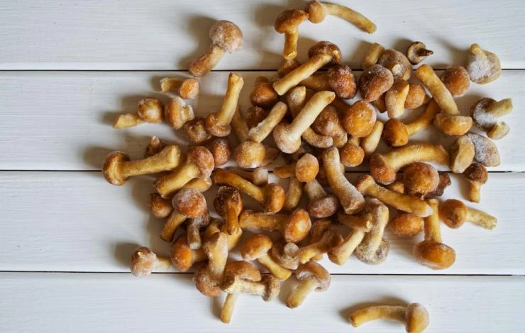 Замороженные грибы