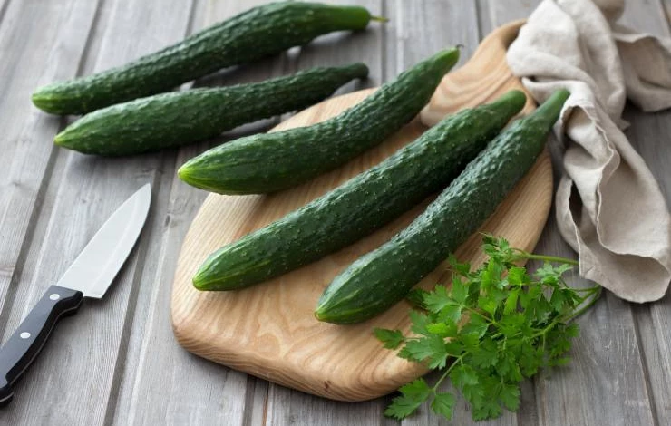 Огурец Китайский джин F1