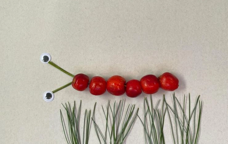 Поделки из фруктов