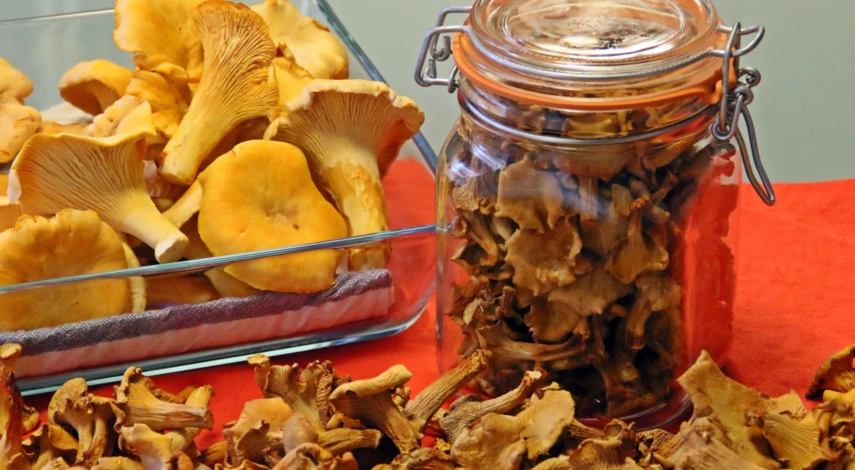 как хранить сушеные лисички