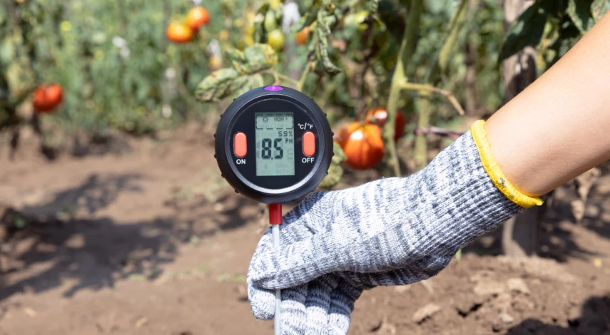 Что нужно знать при покупке участка