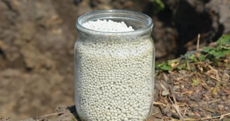 Аммиачная селитра