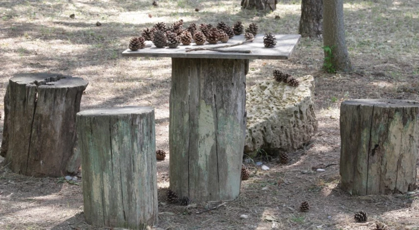 Садовая мебель из пней