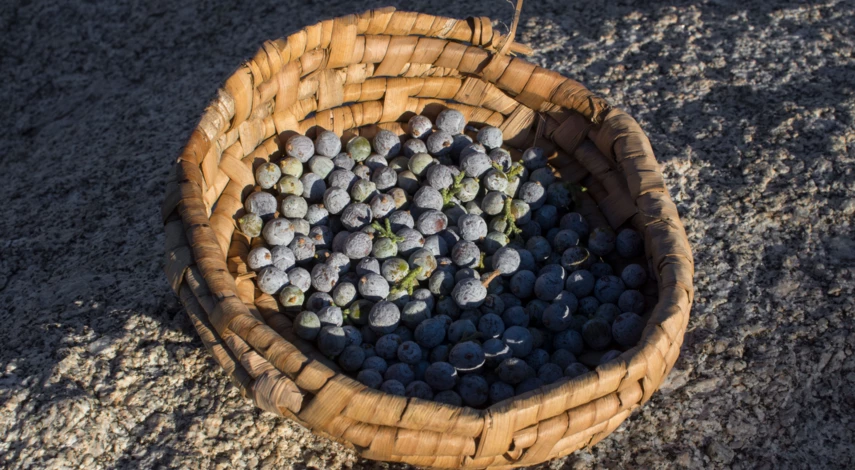 Корзина из рогоза