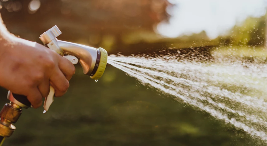 Полив томатов