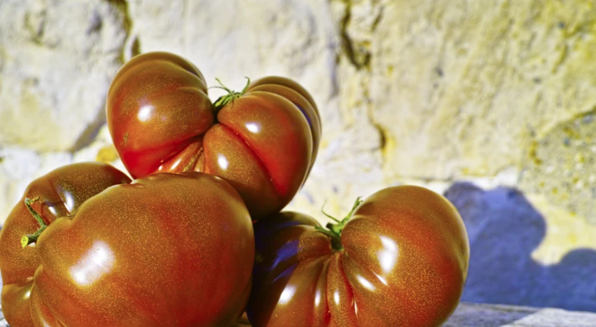 Форма томатов Черный принц