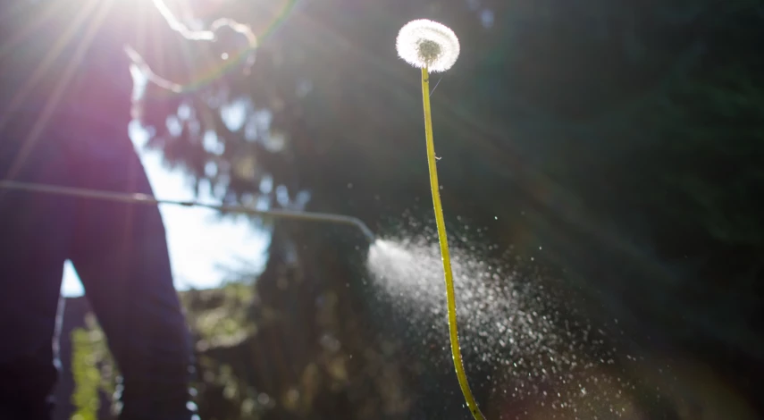 Классы гербицидов