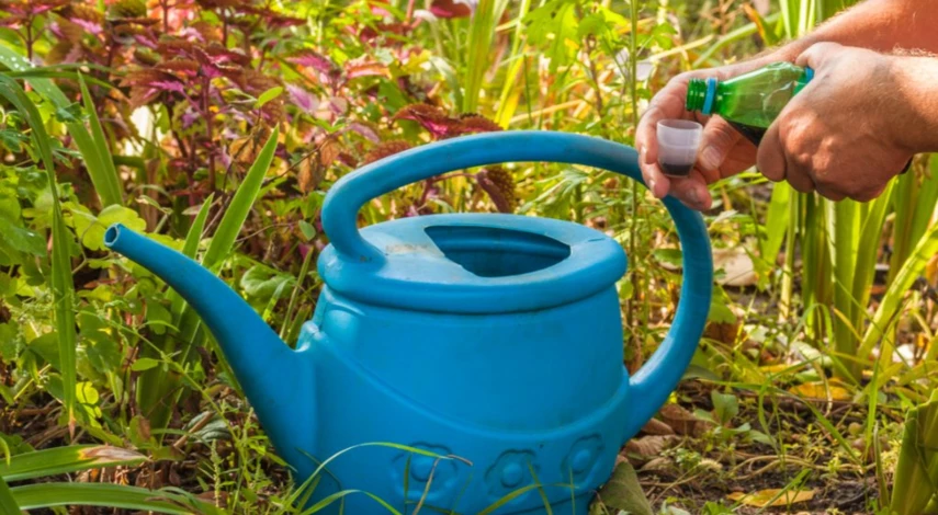 Применение гербицидов