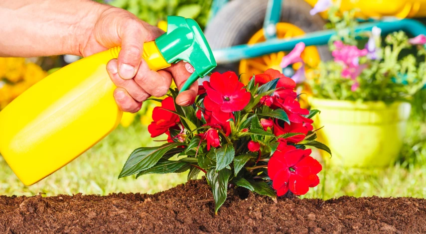 Виды пестицидов