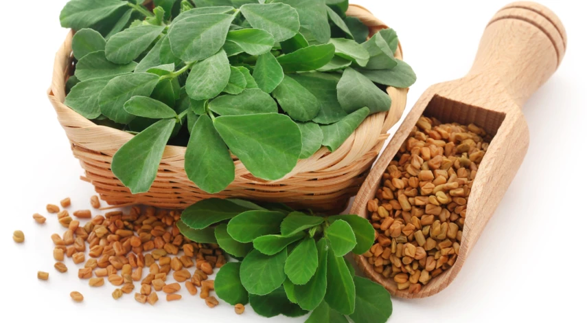 лекарственные растения