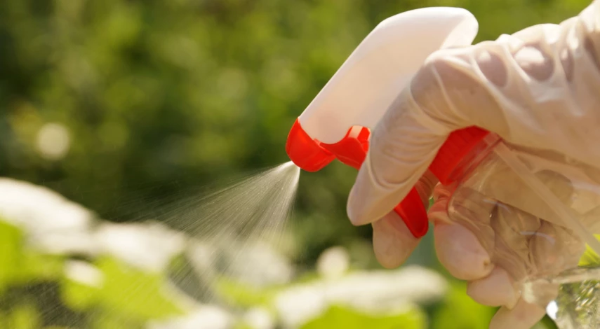 Фитоспорин-М для опрыскивания