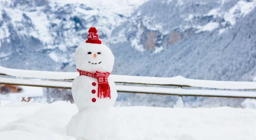 Снеговик из снега