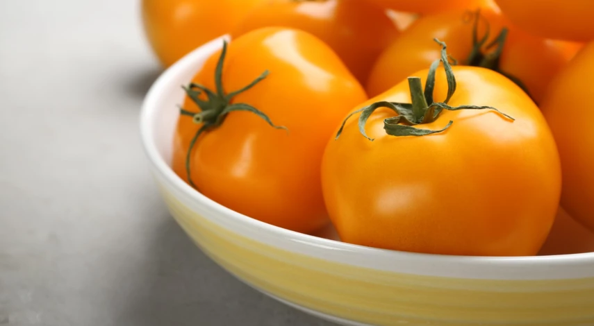 Урожай помидоров сорта Золотой