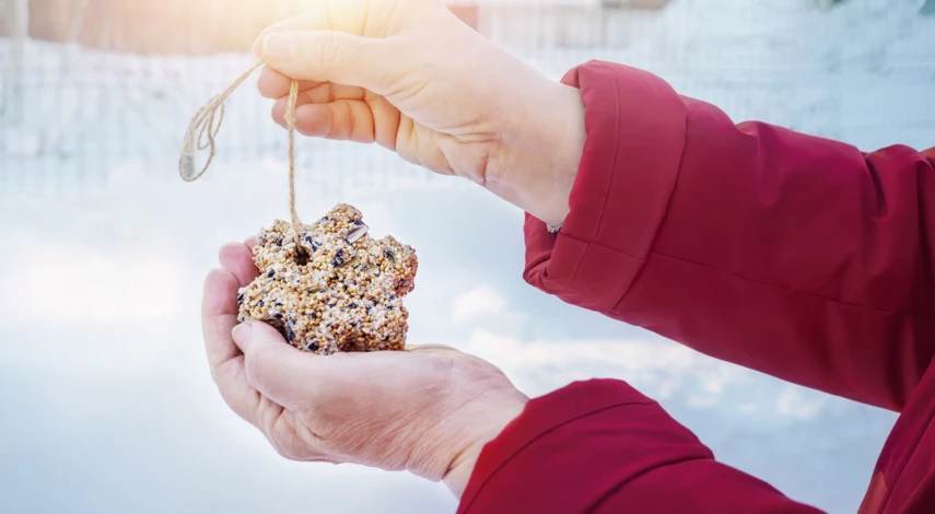 кормушка для птиц из эко-материалов