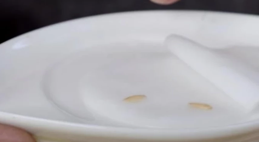 календарь посева огурцов